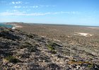 2013 02 02  CarnarvontoDongara 034